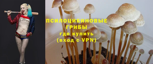 гидра Армянск