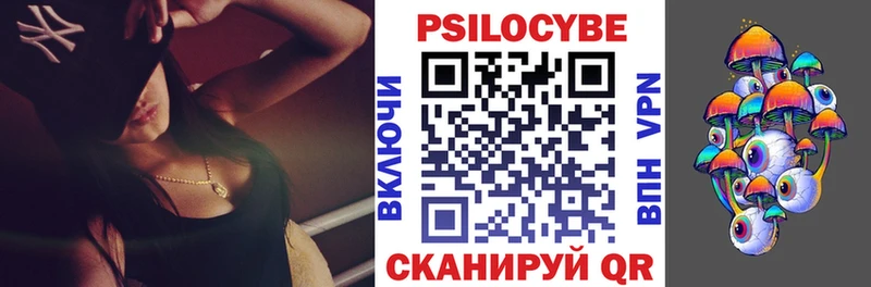 где можно купить наркотик  Собинка  Псилоцибиновые грибы Cubensis 